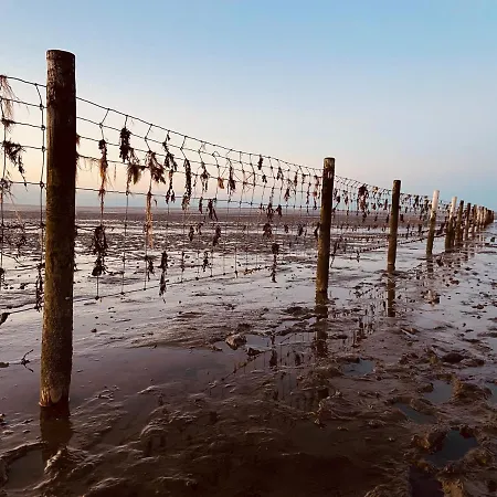 Ferien Im Wangerland Leuchtturm Minsen Schillig Hund Pool Sauna *
